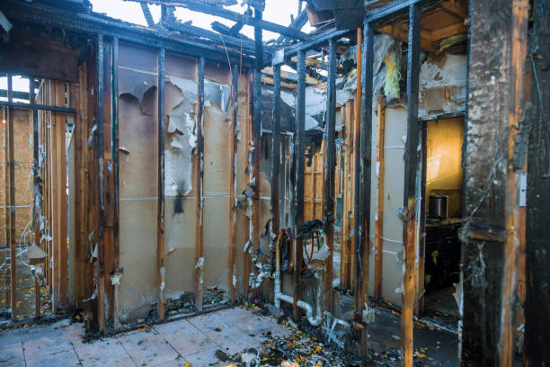 Professional Fire Damage Removal technician working in Arcola, TX